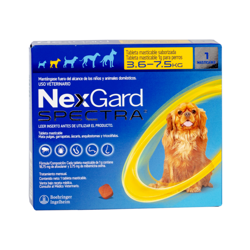 Front of NexGard Spectra veterinary chewable tablets box for dogs 3.6–7.5 kg, showing a golden retriever and a yellow swirl design