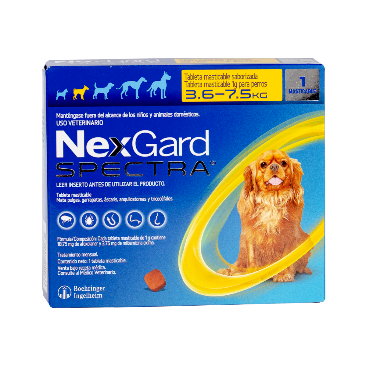 Front of NexGard Spectra veterinary chewable tablets box for dogs 3.6–7.5 kg, showing a golden retriever and a yellow swirl design